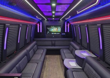 22-Passenger Limo Party Bus Photo